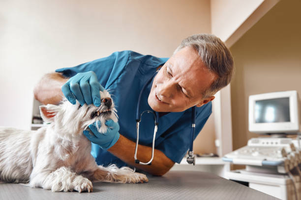Best Tooth Pain Emergency Relief  in Lmyra, PA